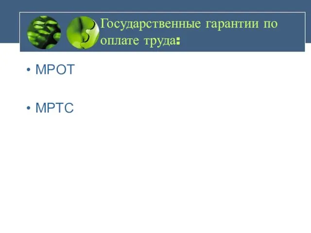 Государственные гарантии по оплате труда: МРОТ МРТС