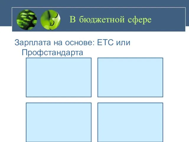 В бюджетной сфере Зарплата на основе: ЕТС или Профстандарта Единая тарифная сетка