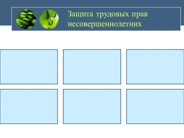 Защита трудовых прав несовершеннолетних Время труда не может превышать: от 15 до