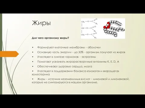 Жиры Для чего организму жиры? • Формируют клеточные мембраны – оболочки •