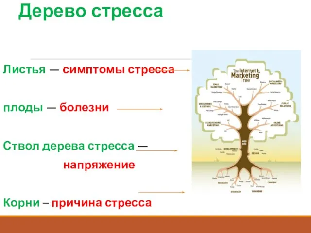 Дерево стресса Листья — симптомы стресса плоды — болезни Ствол дерева стресса