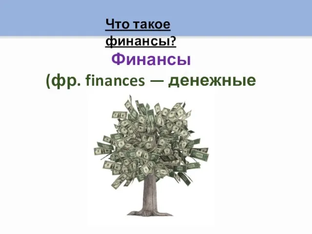Что такое финансы? Финансы (фр. finances — денежные средства)