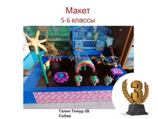 Макет 5-6 классы Галин Тимур 5В Сибай