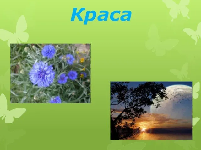 Краса