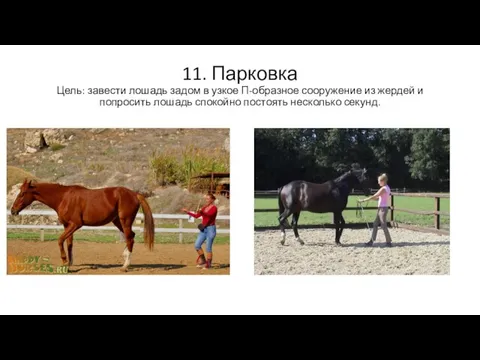 11. Парковка Цель: завести лошадь задом в узкое П-образное сооружение из жердей