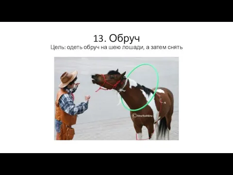 13. Обруч Цель: одеть обруч на шею лошади, а затем снять