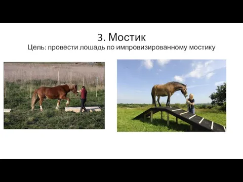 3. Мостик Цель: провести лошадь по импровизированному мостику