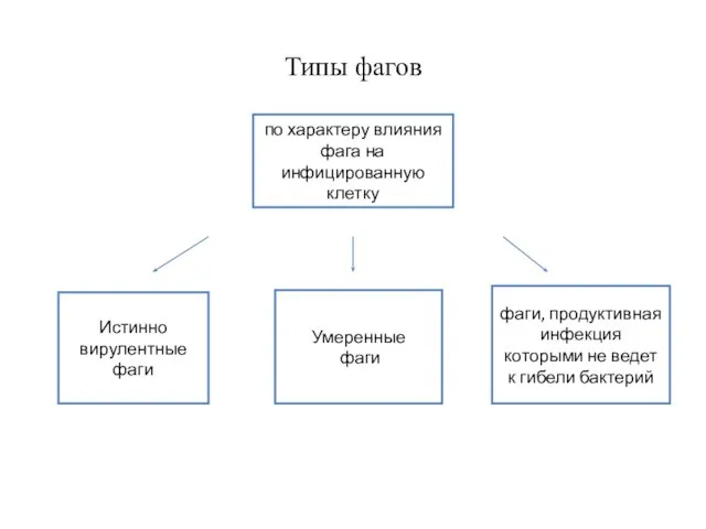 Типы фагов по характеру влияния фага на инфицированную клетку Истинно вирулентные фаги