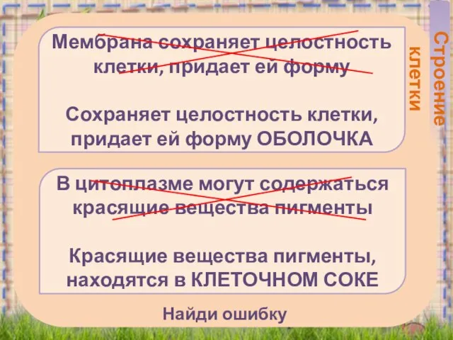 Найди ошибку Мембрана сохраняет целостность клетки, придает ей форму Сохраняет целостность клетки,