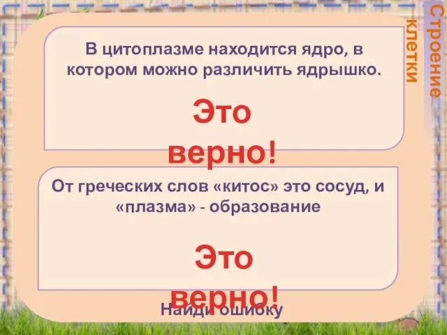 Найди ошибку От греческих слов «китос» это сосуд, и «плазма» - образование