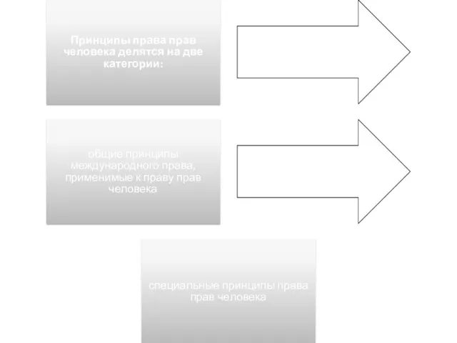 Принципы права прав человека делятся на две категории: общие принципы международного права,