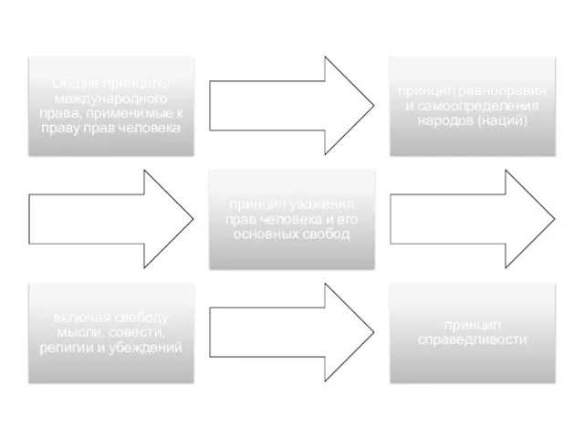Общие принципы международного права, применимые к праву прав человека принцип равноправия и