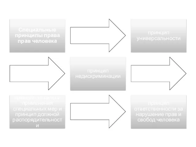 Специальные принципы права прав человека принцип универсальности принцип недискриминации принцип защиты и