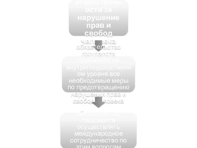 Принцип ответственности за нарушение прав и свобод человека обязательство государств принимать на