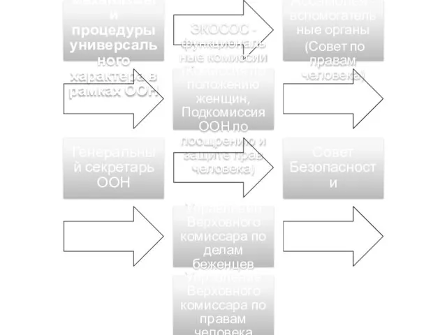 Контрольные механизмы и процедуры универсального характера в рамках ООН Генеральная Ассамблея -