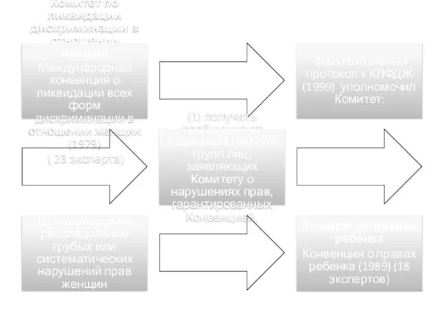 Комитет по ликвидации дискриминации в отношении женщин Международная конвенция о ликвидации всех