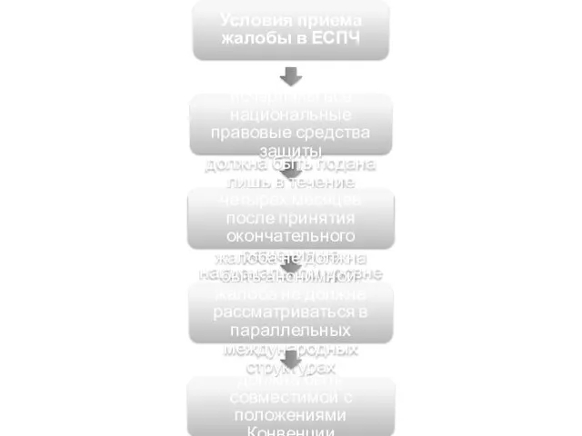 Условия приема жалобы в ЕСПЧ исчерпаны все национальные правовые средства защиты должна