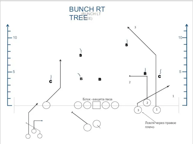 5 10 5 10 BUNCH RT TREE (BUNCH LT TREE) C B