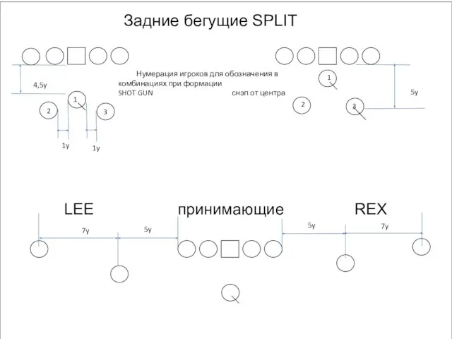 Задние бегущие SPLIT LEE принимающие REX 3 2 2 1 1 Нумерация