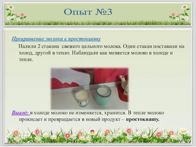 Превращение молока в простоквашу Налили 2 стакана свежего цельного молока. Один стакан