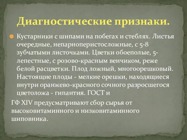 Кустарники с шипами на побегах и стеблях. Листья очередные, непарноперистосложные, с 5-8