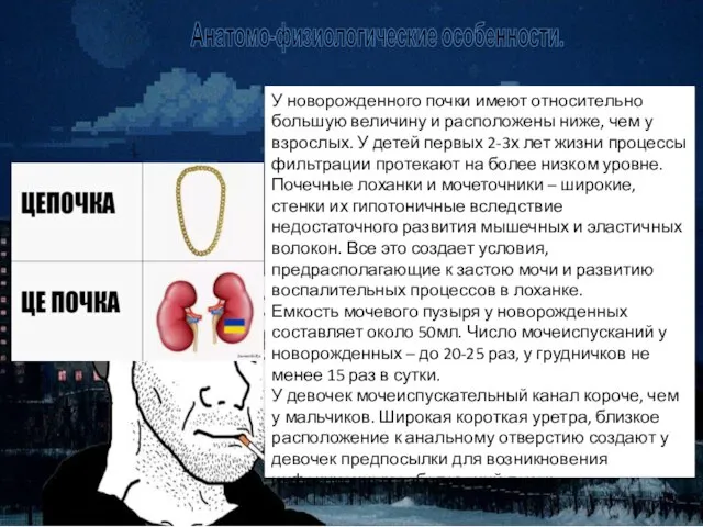 Анатомо-физиологические особенности. У новорожденного почки имеют относительно большую величину и расположены ниже,