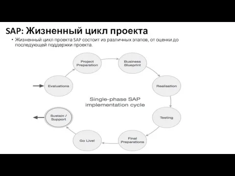 SAP: Жизненный цикл проекта Жизненный цикл проекта SAP состоит из различных этапов,