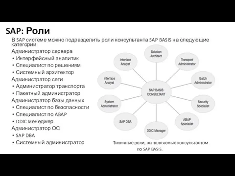 SAP: Роли В SAP системе можно подразделить роли консультанта SAP BASIS на