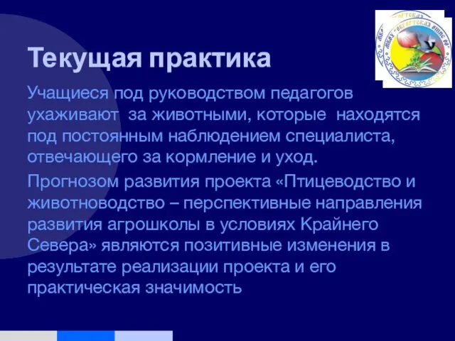 Текущая практика Учащиеся под руководством педагогов ухаживают за животными, которые находятся под