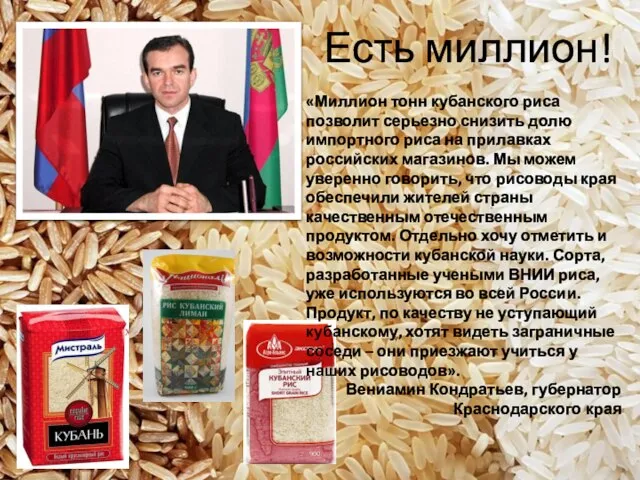 «Миллион тонн кубанского риса позволит серьезно снизить долю импортного риса на прилавках