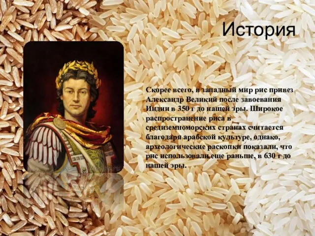 История Скорее всего, в западный мир рис привез Александр Великий после завоевания