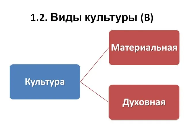 1.2. Виды культуры (B)