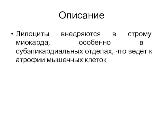 Описание Липоциты внедряются в строму миокарда, особенно в субэпикардиальных отделах, что ведет к атрофии мышечных клеток