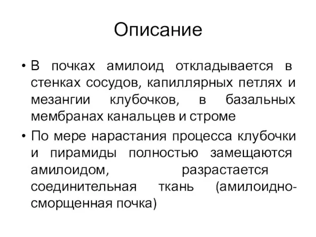 Описание В почках амилоид откладывается в стенках сосудов, капиллярных петлях и мезангии