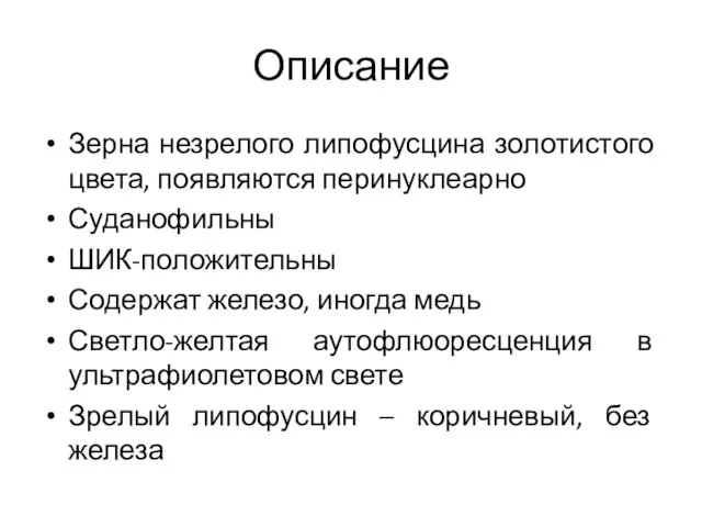 Описание Зерна незрелого липофусцина золотистого цвета, появляются перинуклеарно Суданофильны ШИК-положительны Содержат железо,