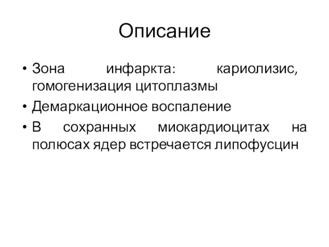 Описание Зона инфаркта: кариолизис, гомогенизация цитоплазмы Демаркационное воспаление В сохранных миокардиоцитах на полюсах ядер встречается липофусцин