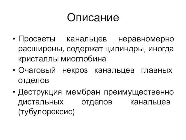 Описание Просветы канальцев неравномерно расширены, содержат цилиндры, иногда кристаллы миоглобина Очаговый некроз