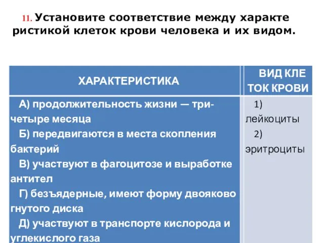 11. Установите со­от­вет­ствие между ха­рак­те­ри­сти­кой кле­ток крови че­ло­ве­ка и их видом.