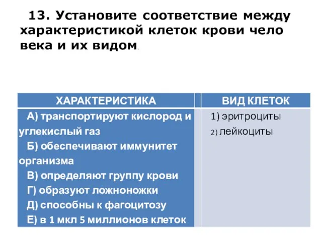 13. Установите со­от­вет­ствие между ха­рак­те­ри­сти­кой клеток крови че­ло­ве­ка и их видом.