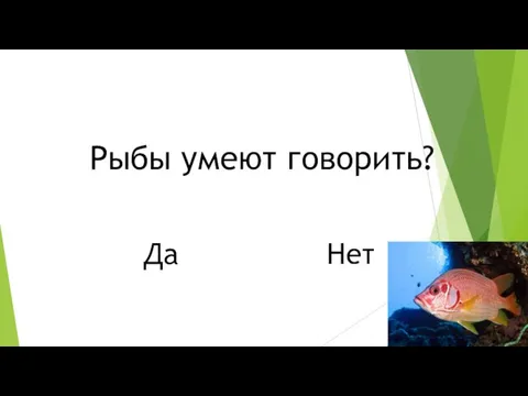 Да Рыбы умеют говорить? Нет