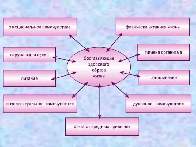 Составляющие здорового образа жизни окружающая среда отказ от вредных привычек питание физически