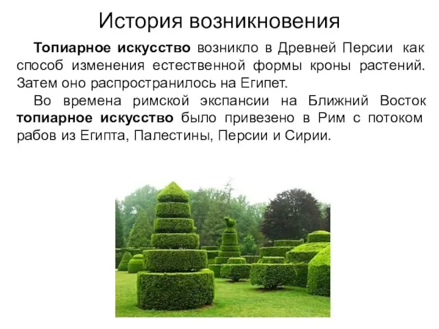 История возникновения Топиарное искусство возникло в Древней Персии как способ изменения естественной