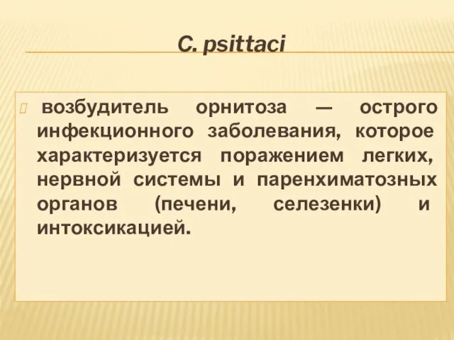 С. psittaci возбудитель орнитоза — острого инфекционного заболевания, которое характеризуется поражением легких,