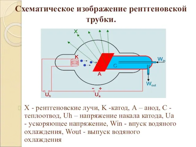 Схематическое изображение рентгеновской трубки. X - рентгеновские лучи, K -катод, А –