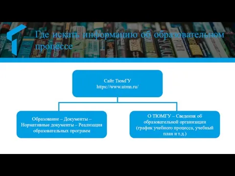 Где искать информацию об образовательном процессе О ТЮМГУ – Сведения об образовательной