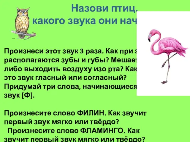 Назови птиц. С какого звука они начинаются? Произнеси этот звук 3 раза.