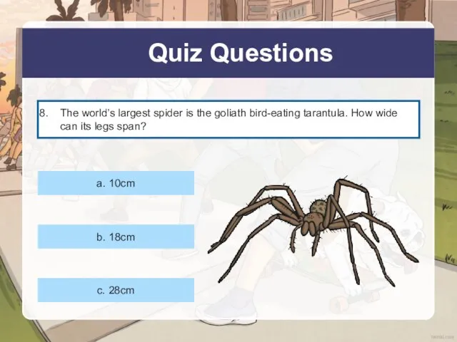 Quiz Questions The world’s largest spider is the goliath bird-eating tarantula. How