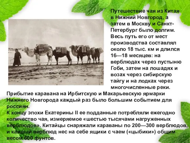 Прибытие каравана на Ирбитскую и Макарьевскую ярмарки Нижнего Новгорода каждый раз было