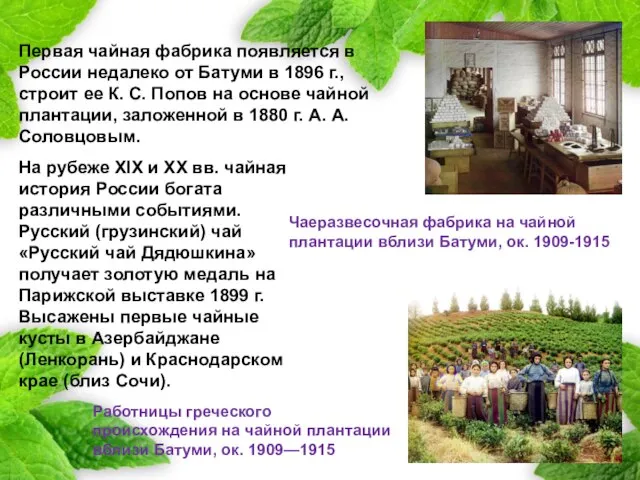 На рубеже XIX и XX вв. чайная история России богата различными событиями.