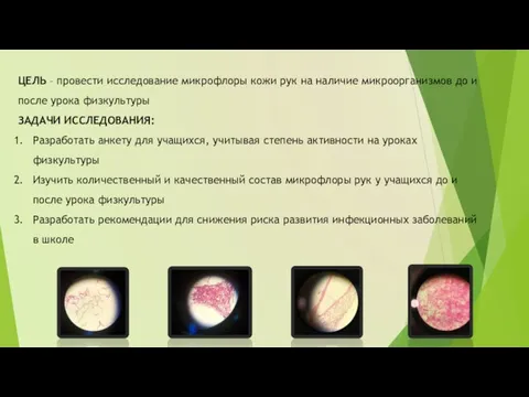 ЦЕЛЬ – провести исследование микрофлоры кожи рук на наличие микроорганизмов до и